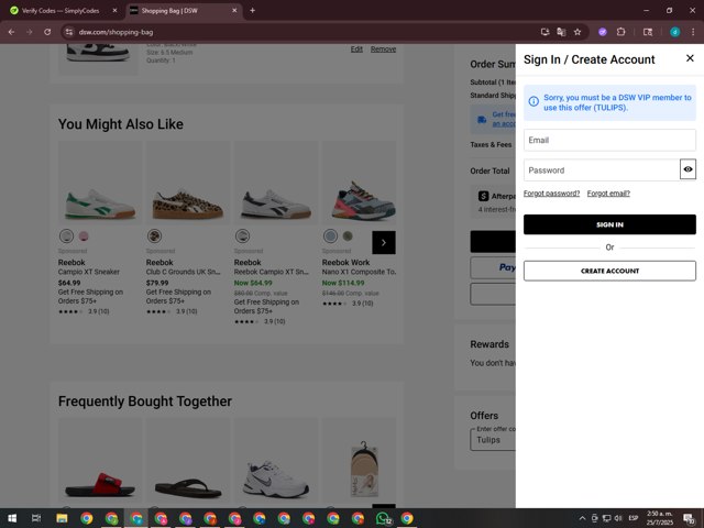 DSW checkout page showing DSW promo code box | Screenshot taken by SimplyCodes community member on Jul 25, 2025