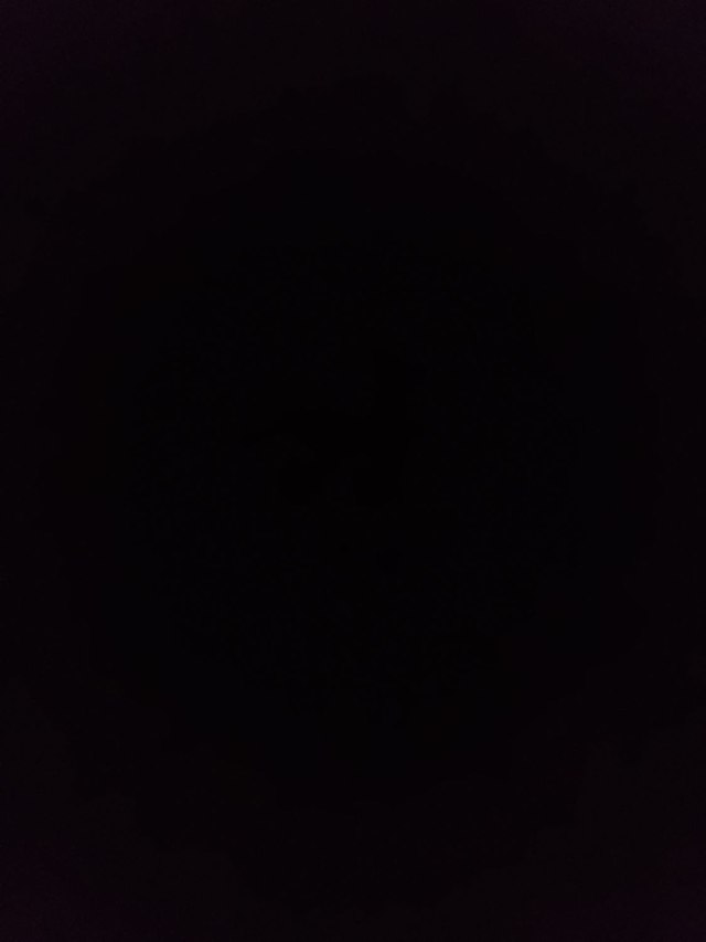 DSW checkout page showing DSW promo code box | Screenshot taken by SimplyCodes community member on Aug 16, 2025